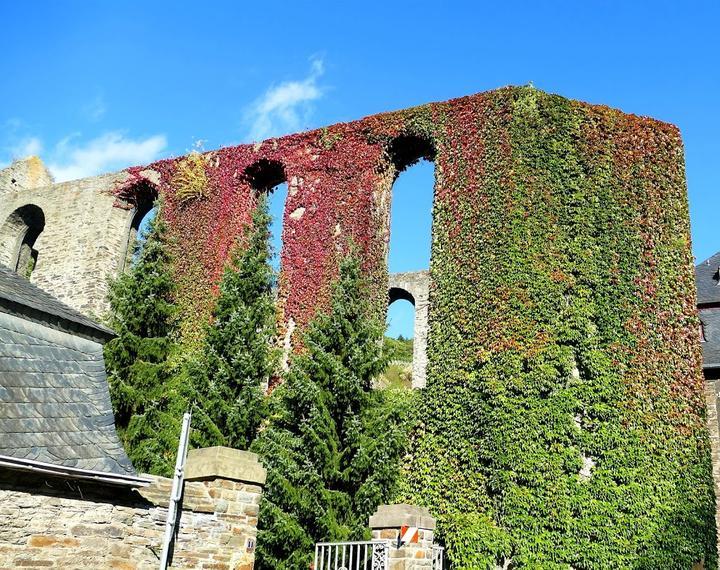 Weingut Kloster Marienthal